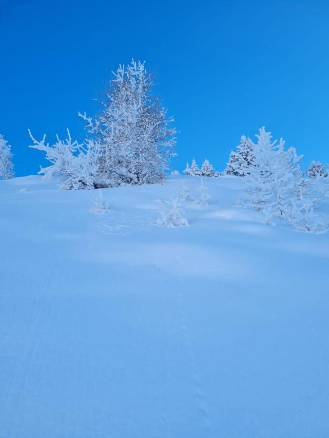 Ferienwohnung Au Petit Bonheur A Val-Cenis Sollières-Sardières Exterior foto